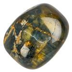 Category Tigrina/Nellite image