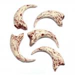 Category Bulk Deal Fossils image