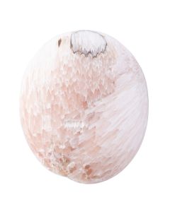 Pink Scolecite Palmstone 20-30mm, India (1pc) NETT