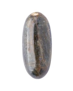Kyanite Dark Lingam, 1-5g, India (1pc) NETT