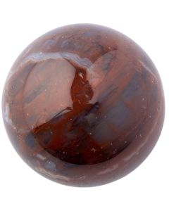 Petrified Wood Sphere 25-30mm, India (1pc) NETT