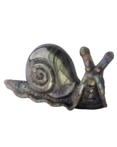 Labradorite Snail Carving 3.5x1.75x0.75" (1pc) SPECIAL