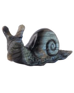 Labradorite Snail Carving 3.25x1.5x1" (1pc) SPECIAL