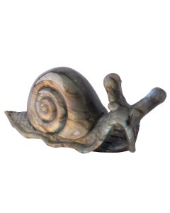 Labradorite Snail Carving 3.25x1.5x1" (1 pc) SPECIAL