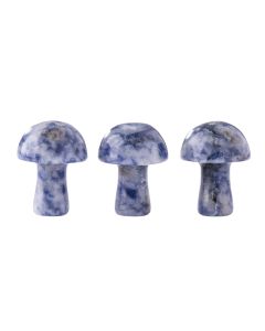 Gemstone Mushroom Sodalite (3pcs) NETT