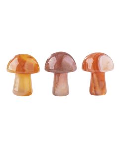 Gemstone Mushroom Carnelian (3pcs) NETT