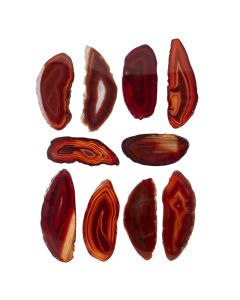 A1 Agate Slice Red (1.5" to 2") (10pcs) NETT