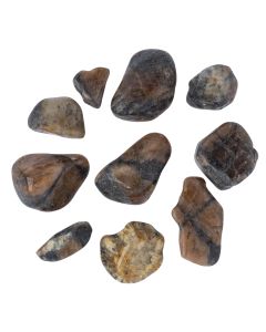 Chiastolite approx 10-50mm Tumblestone (1kg) NETT